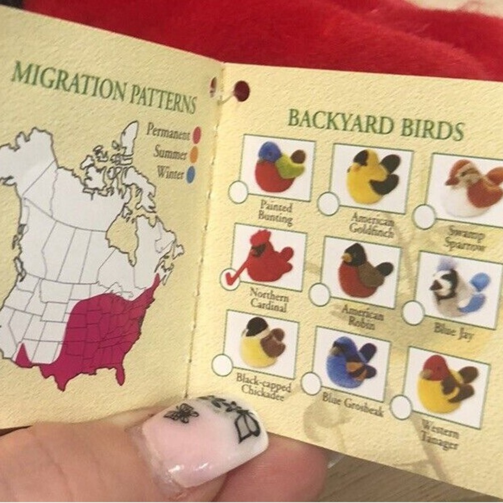 Red Northern Cardinal Plush - Picture 4 of 7